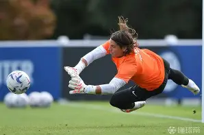 今晨AC米兰备战亚冠，再遭质疑细节曝光，悬念犹存，赛程密集仍需轮换的简单介绍