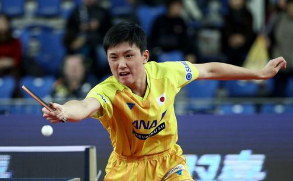 芝加哥公牛训练开放日；国际比赛日调整名单引欢呼；全明星赛在即；团队化学反应显著的简单介绍